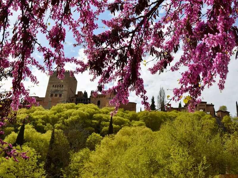 La Alhambra, Spain--old stone buildings on a green hilltop 